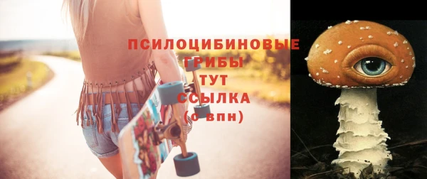 ECSTASY Краснослободск