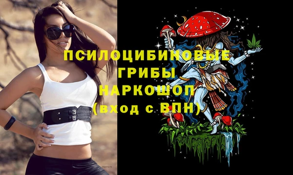 бошки Краснотурьинск