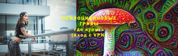 ECSTASY Краснослободск