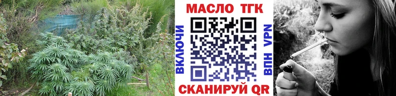 ТГК THC oil  Купить закладки  Зеленоградск 