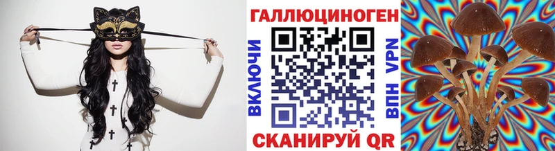 Псилоцибиновые грибы Magic Shrooms  Купить  Зеленоградск 